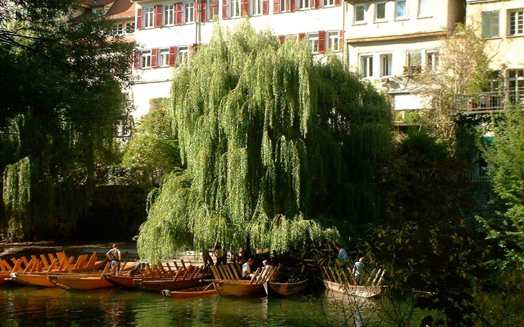 2019 ATA Workshop in Tübingen: