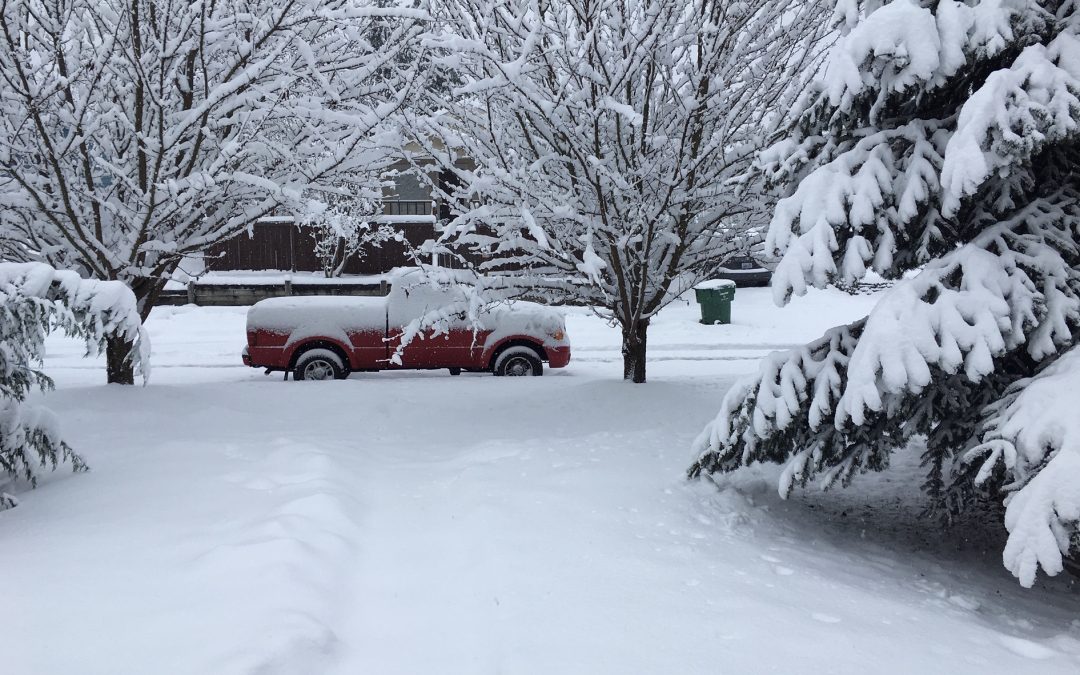 Snowed in in Seattle